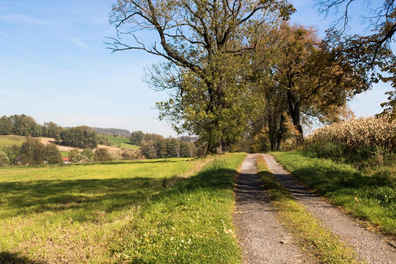 Villa Bawaria Cieszyn  Eksteriør billede